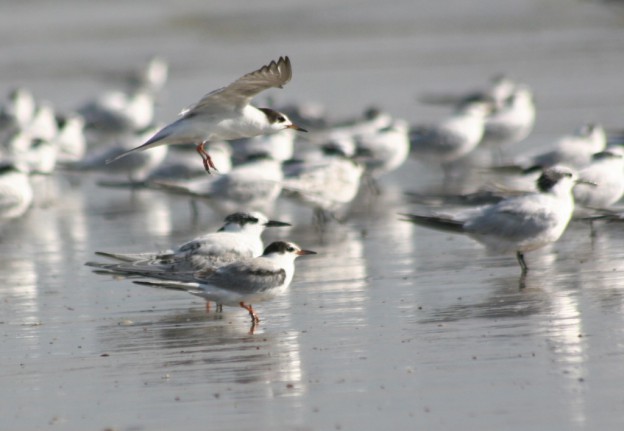 Zondag 15 november | IJmuiden Zuidpier 