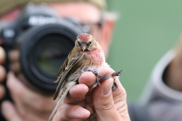 Zondag 25 oktober | Hondsbossche Duinen