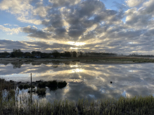 Dinsdagavond 31 maart | Landje van Gruyters