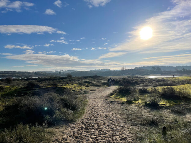 Dinsdag 24 februari | Lezing Henk Wijkhuisen