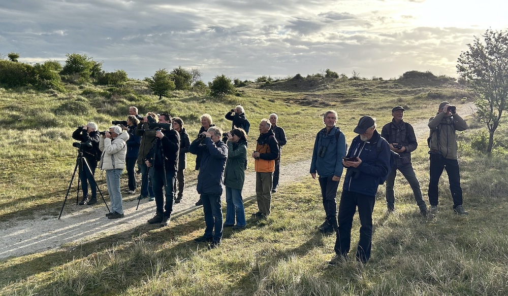 Vervolgcursus creatief afgesloten