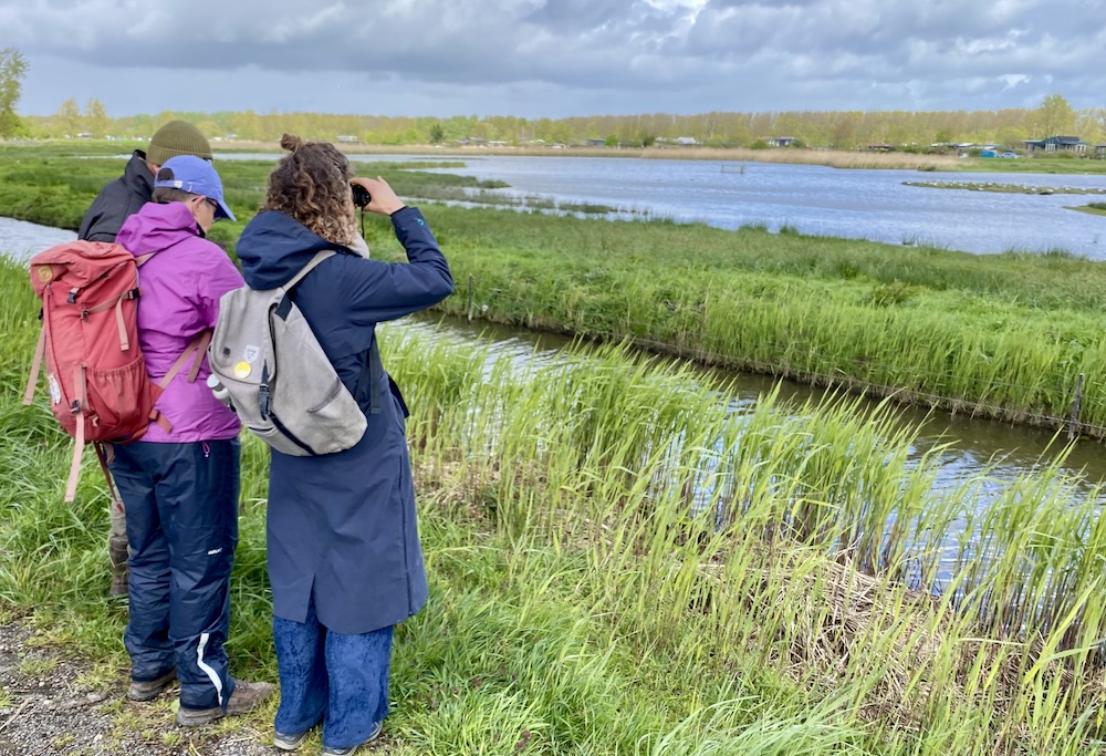 Vogels tellen Landje van Gruijters / Johan Stuart