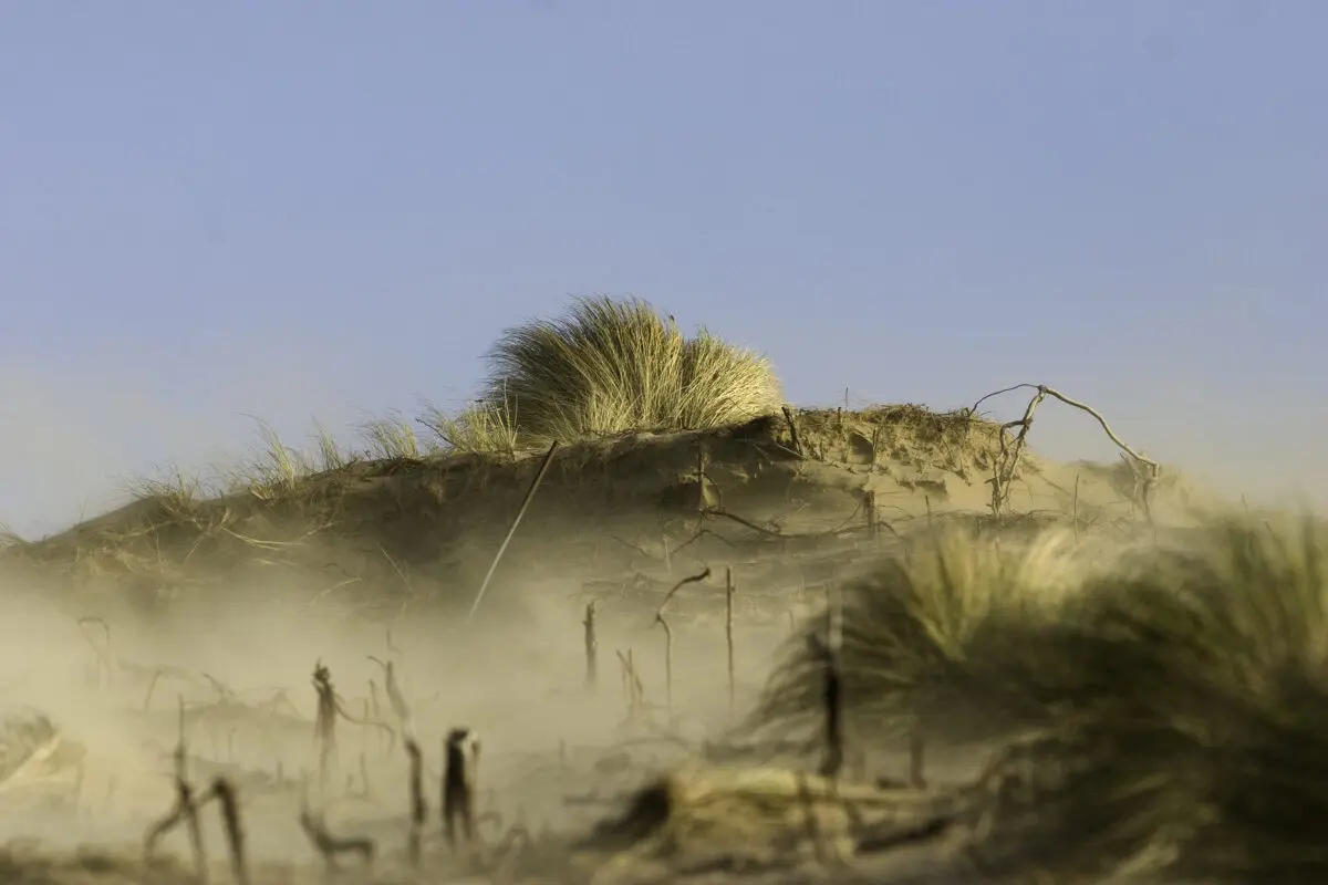Vrijdag 4 december | Excursie Noordwest Natuurkern