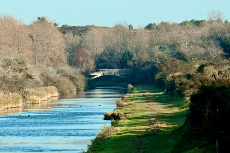 Zondag 10 januari | Amsterdamse Waterleidingduinen